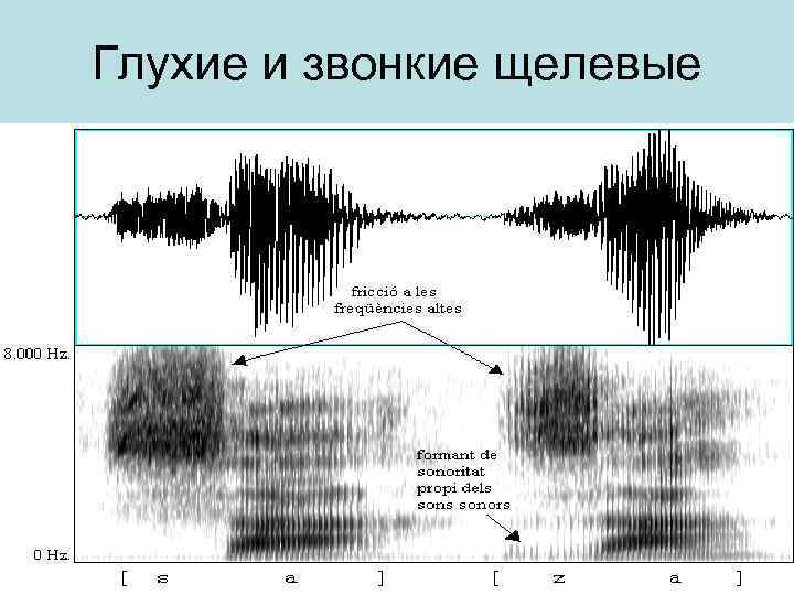 Глухие и звонкие щелевые 