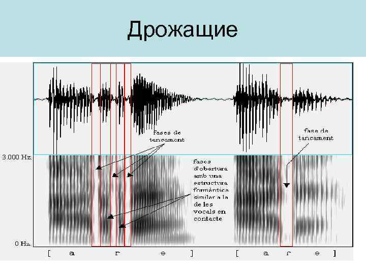 Дрожащие 