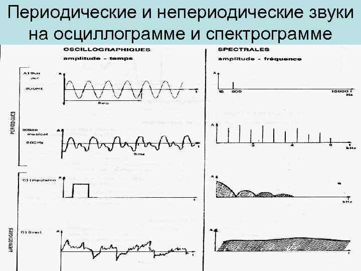 Периодические и непериодические звуки на осциллограмме и спектрограмме 