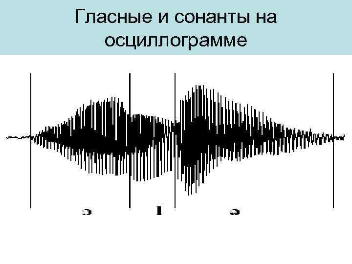 Гласные и сонанты на осциллограмме 