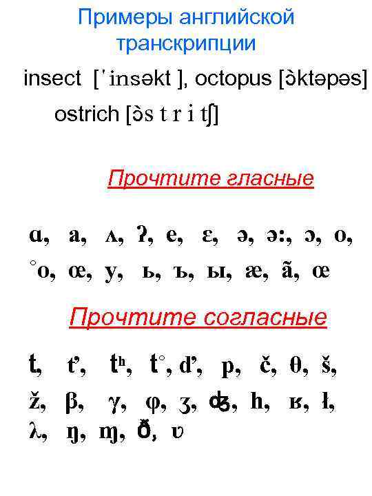 Примеры английской транскрипции insect [΄insəkt ], octopus [ ktəpəs] ostrich [ s t r