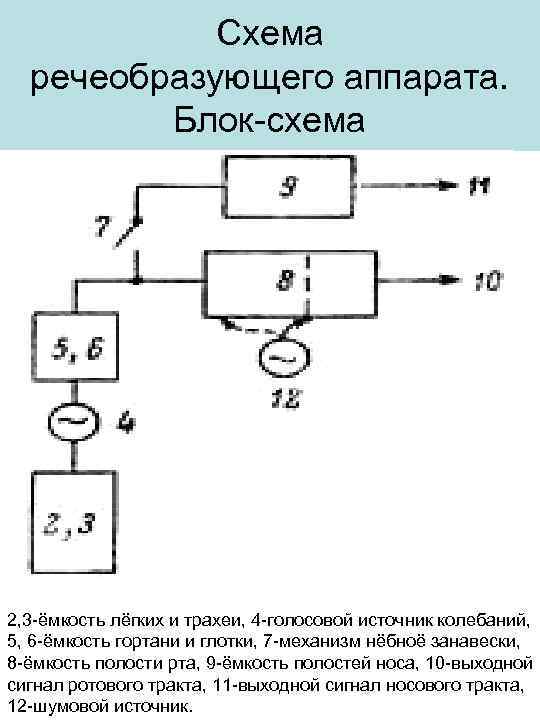 Схема речеобразующего аппарата. Блок-схема 2, 3 -ёмкость лёгких и трахеи, 4 -голосовой источник колебаний,