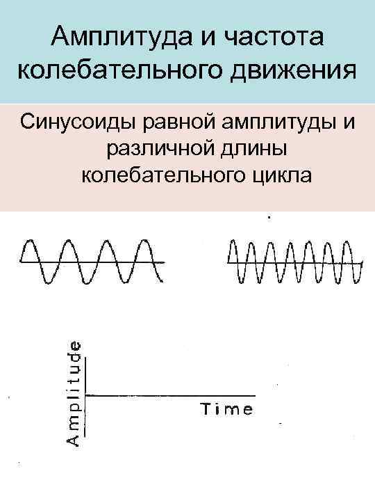 Цикл частоты. Частота колебательного движения. Амплитуда колебательного движения. Амплитуда синусоиды. Колебательное движение синусоида.