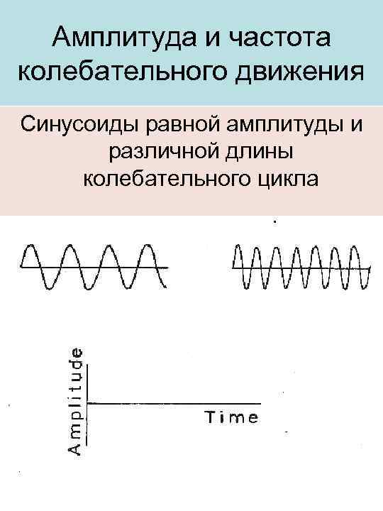Амплитуда и частота колебательного движения Синусоиды равной амплитуды и различной длины колебательного цикла 