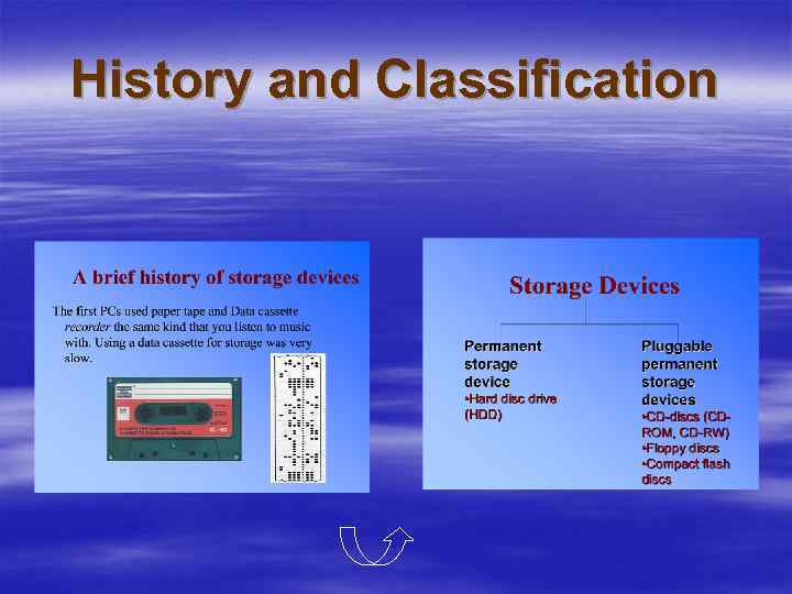 History and Classification 