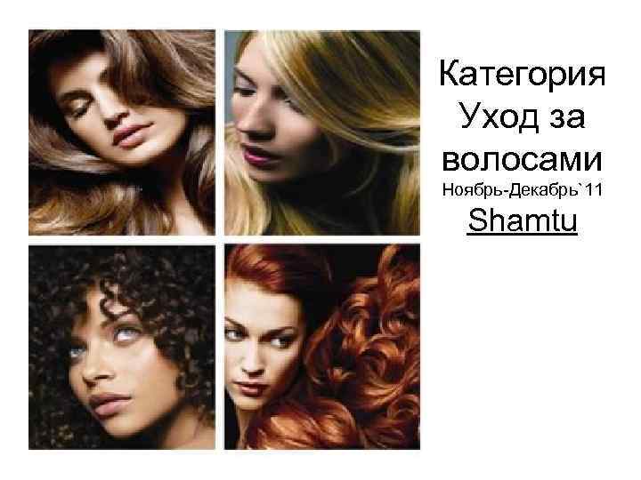 Категория Уход за волосами Ноябрь-Декабрь`11 Shamtu 