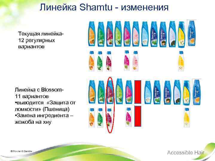 Линейка Shamtu - изменения Текущая линейка 12 регулярных вариантов Линейка с Blossom 11 вариантов