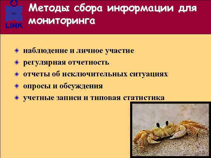 Методы сбора информации для мониторинга наблюдение и личное участие регулярная отчетность отчеты об исключительных