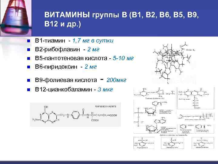 ВИТАМИНЫ группы В (В 1, В 2, В 6, В 5, В 9, В