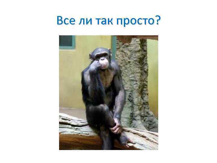 Все ли так просто? 