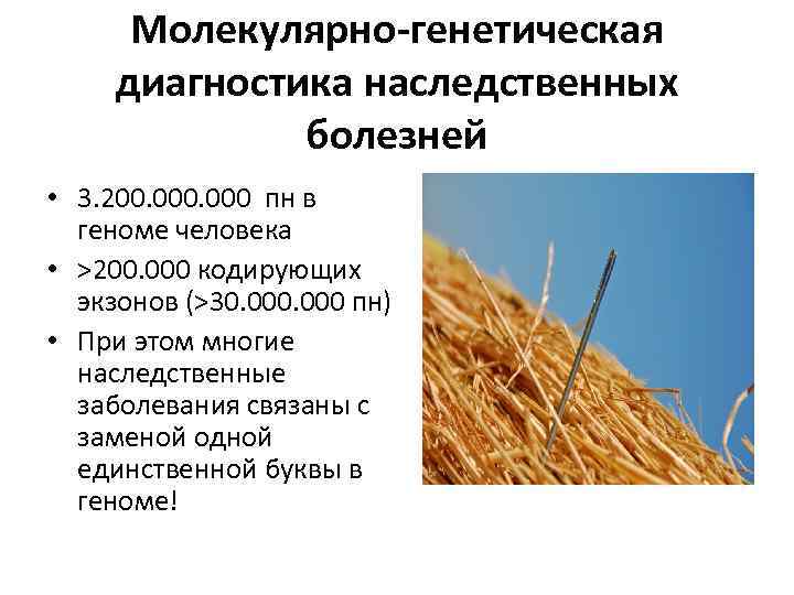 Молекулярно-генетическая диагностика наследственных болезней • 3. 200. 000 пн в геноме человека • >200.