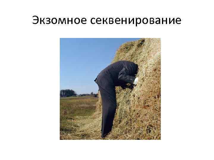 Экзомное секвенирование 