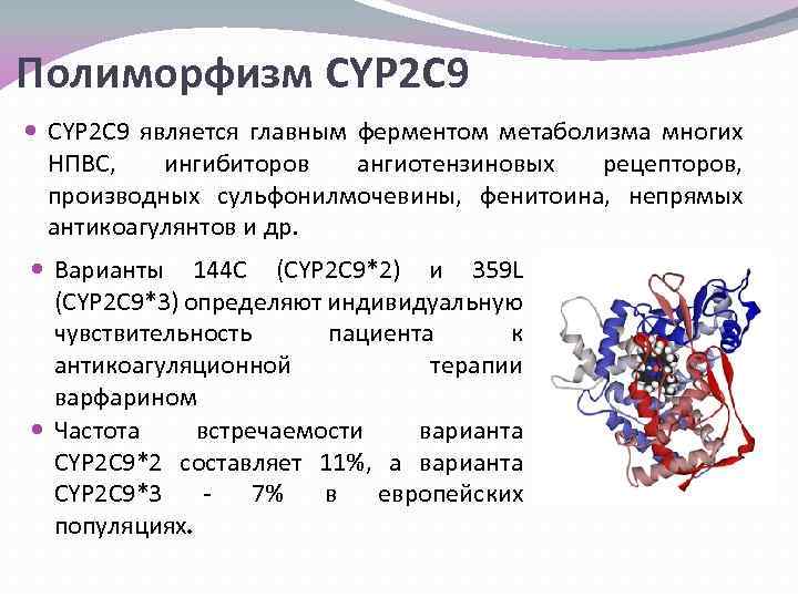 Можно ли назвать человека полиморфным. Полиморфизм Гена cyp2c9. Cyp2c9 ингибиторы. Полиморфизм ферментов. Полиморфизм генетика.