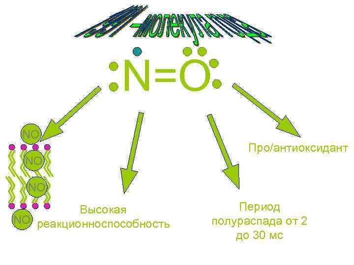N=O NO Про/антиоксидант NO NO Высокая NO реакционноспособность Период полураспада от 2 до 30