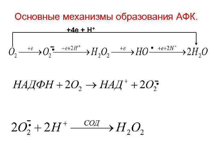 Основные механизмы образования АФК. +4 e + H+ 