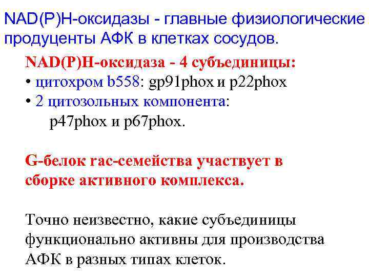 NAD(P)H-оксидазы - главные физиологические продуценты АФК в клетках сосудов. NAD(P)H-оксидаза - 4 субъединицы: •