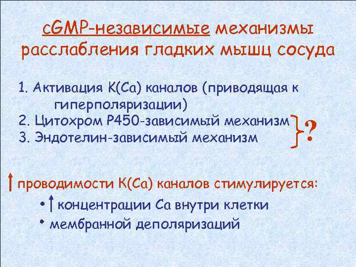 с. GMP-независимые механизмы расслабления гладких мышц сосуда 1. Активация K(Ca) каналов (приводящая к гиперполяризации)