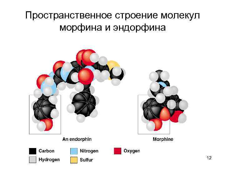 Пространственное строение. Пространственная структура молекул. Пространственное строение молекул. Химическая пространственная структура молекулы. Трехмерная структура молекул.