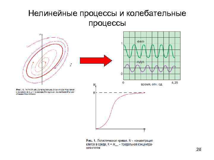 Нелинейные презентации программы