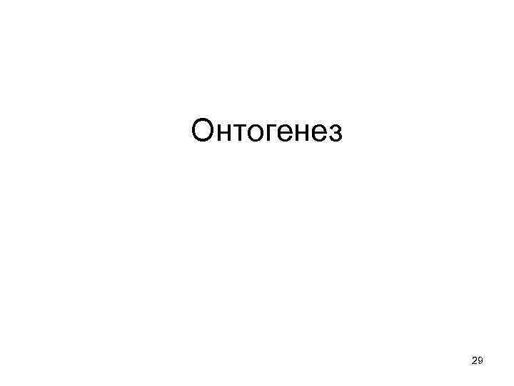 Онтогенез 29 