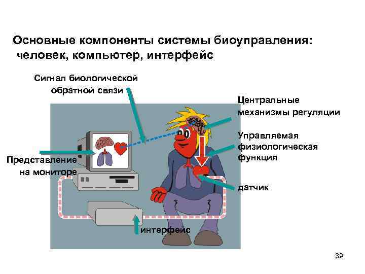 Основные компоненты системы биоуправления: человек, компьютер, интерфейс Сигнал биологической обратной связи Центральные механизмы регуляции