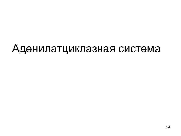 Аденилатциклазная система 24 