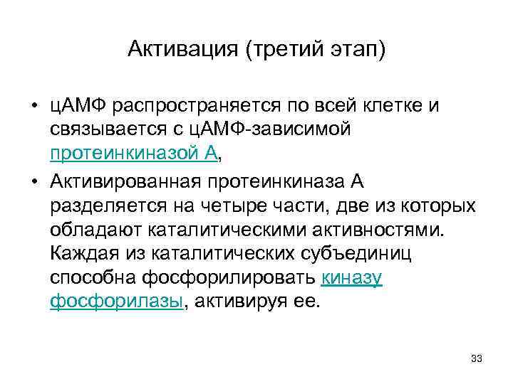 Активация (третий этап) • ц. АМФ распространяется по всей клетке и связывается с ц.