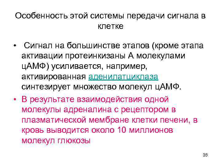 Особенность этой системы передачи сигнала в клетке • Сигнал на большинстве этапов (кроме этапа