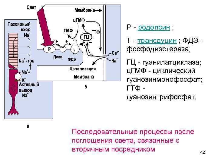 Схема отмены омепразола