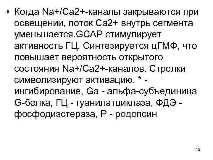  • Когда Na+/Ca 2+-каналы закрываются при освещении, поток Са 2+ внутрь сегмента уменьшается.
