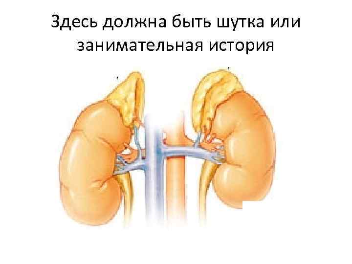 Здесь должна быть шутка или занимательная история 