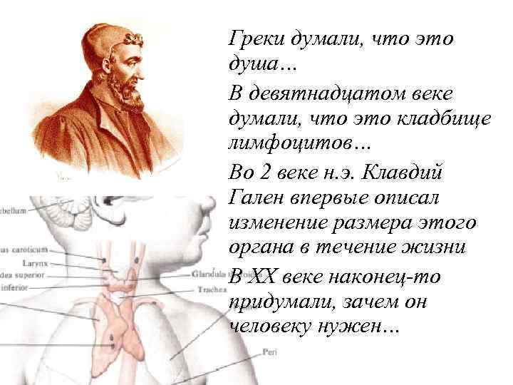 Греки думали, что это душа… В девятнадцатом веке думали, что это кладбище лимфоцитов… Во