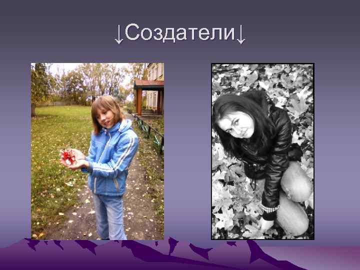 ↓Создатели↓ 