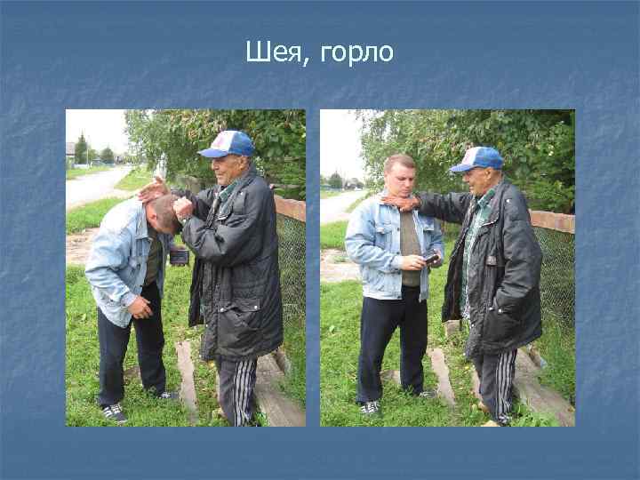 Шея, горло 