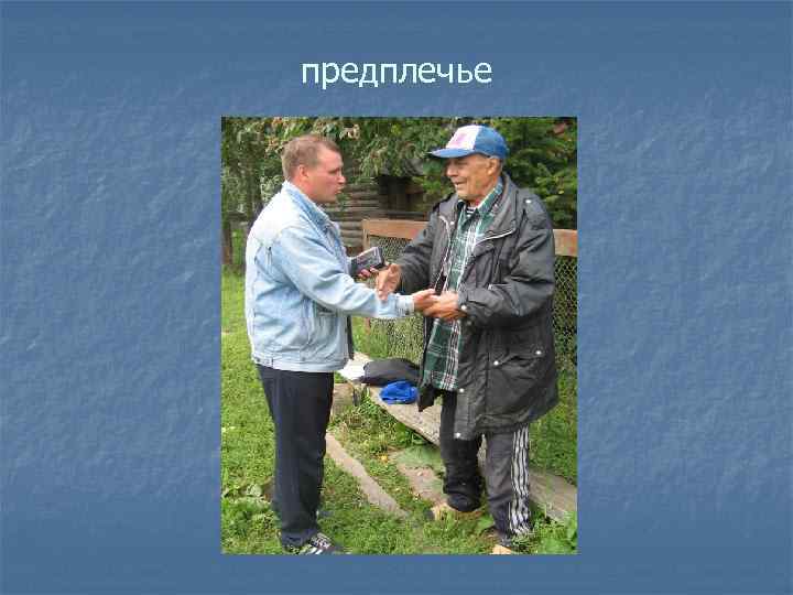 предплечье 