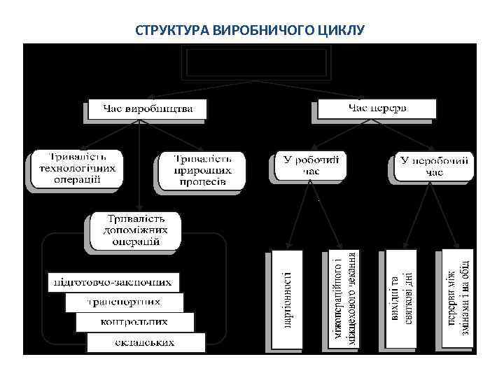 СТРУКТУРА ВИРОБНИЧОГО ЦИКЛУ 