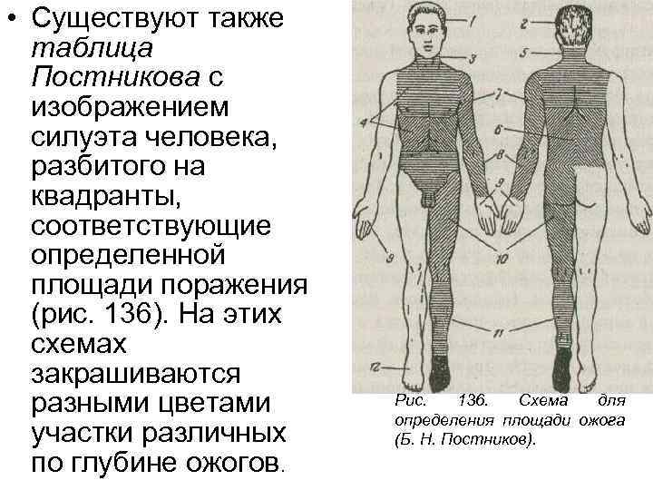 Оценка площади ожога проводится по схеме