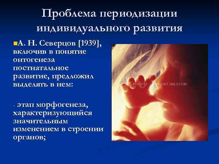 Проблема периодизации индивидуального развития n. А. Н. Северцов [1939], включив в понятие онтогенеза постнатальное