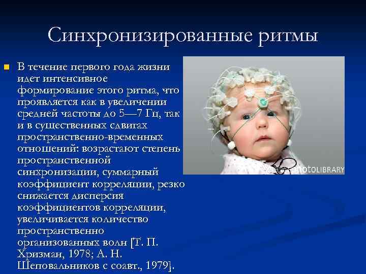 Синхронизированные ритмы n В течение первого года жизни идет интенсивное формирование этого ритма, что