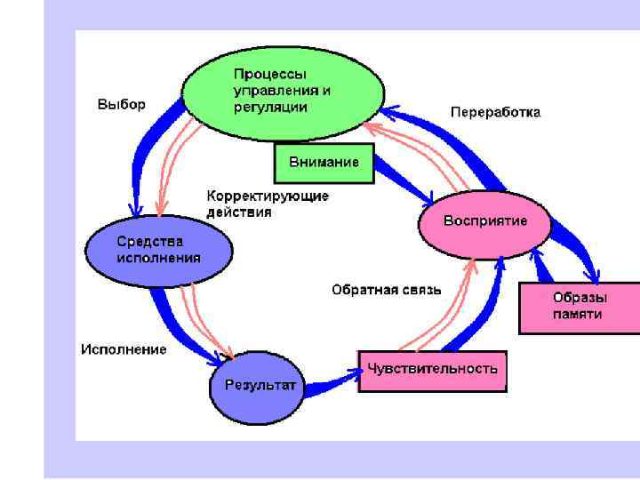 Психофизиология в схемах и комментариях психофизиология