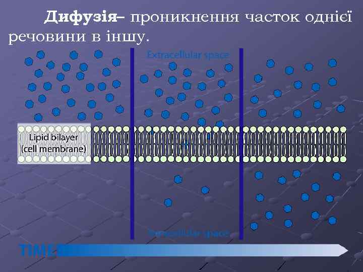 Дифузія– проникнення часток однієї речовини в іншу. 