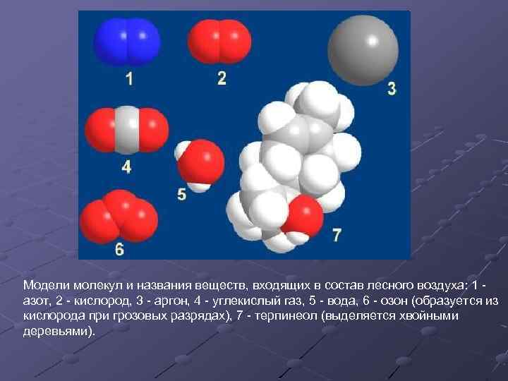 Модели молекул и названия веществ, входящих в состав лесного воздуха: 1 азот, 2 -