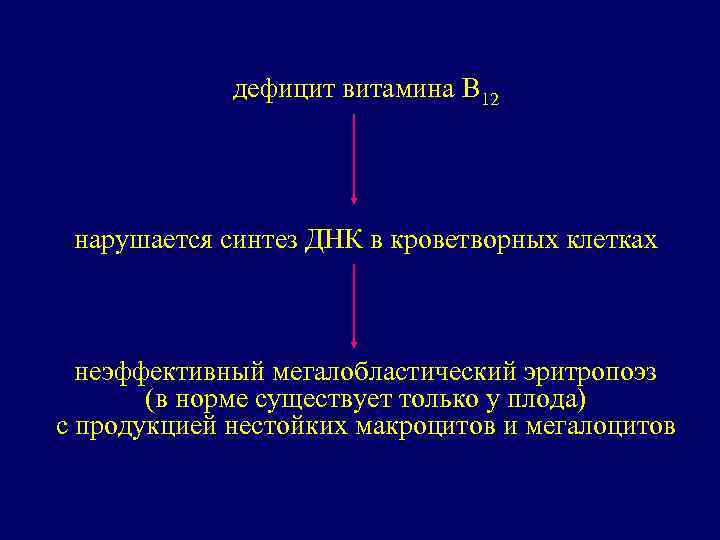 дефицит витамина В 12 нарушается синтез ДНК в кроветворных клетках неэффективный мегалобластический эритропоэз (в