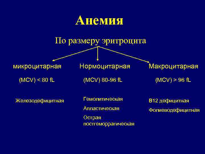 Анемия По размеру эритроцита микроцитарная (MCV) < 80 f. L Железодефицитная Нормоцитарная (MCV) 80