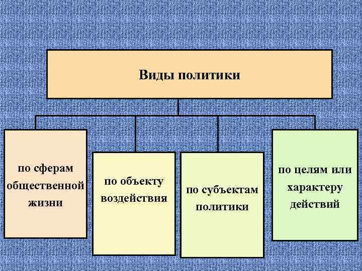 Политика виды