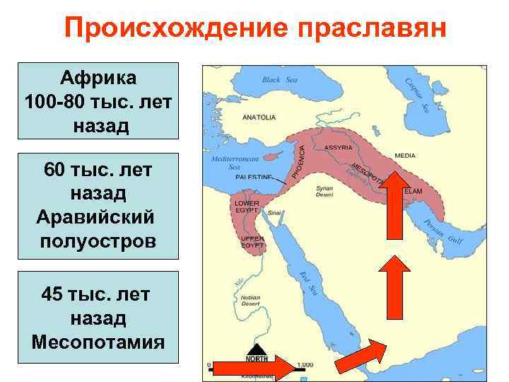 Происхождение праславян Африка 100 -80 тыс. лет назад 60 тыс. лет назад Аравийский полуостров