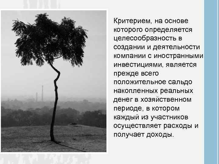 Критерием, на основе которого определяется целесообразность в создании и деятельности компании с иностранными инвестициями,