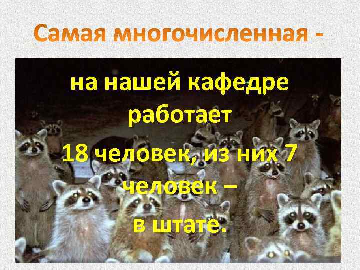 на нашей кафедре работает 18 человек, из них 7 человек – в штате. 