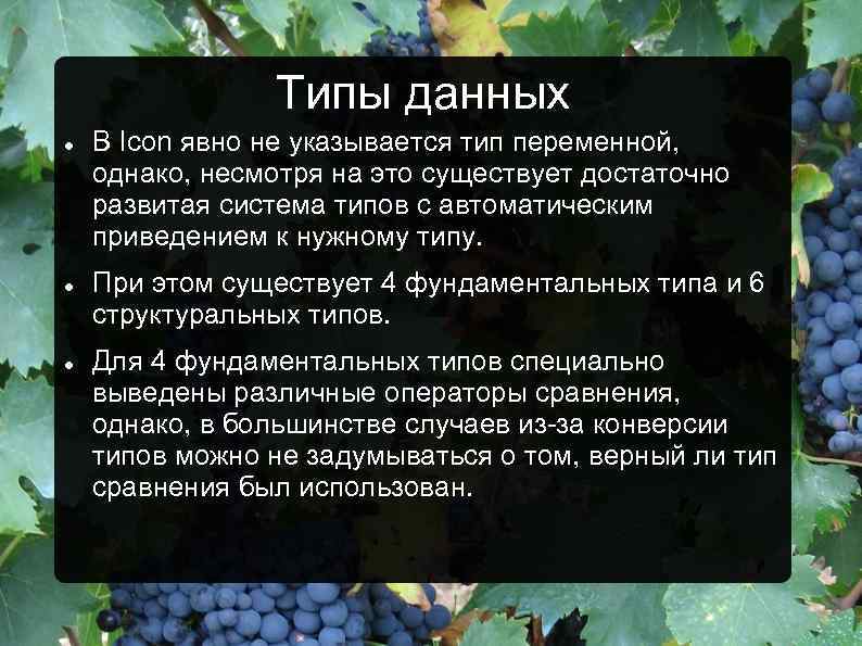 Типы данных В Icon явно не указывается тип переменной, однако, несмотря на это существует