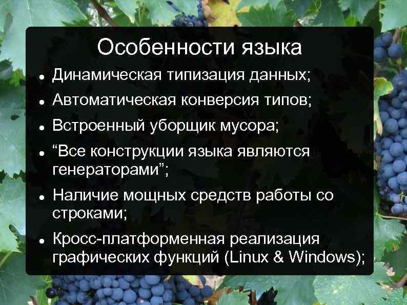 Особенности языка Динамическая типизация данных; Автоматическая конверсия типов; Встроенный уборщик мусора; “Все конструкции языка